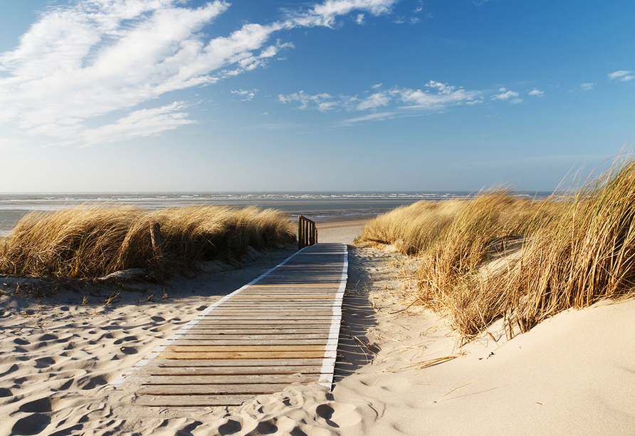 Unternehmen Sie einen Tagesausflug nach Langeoog. 