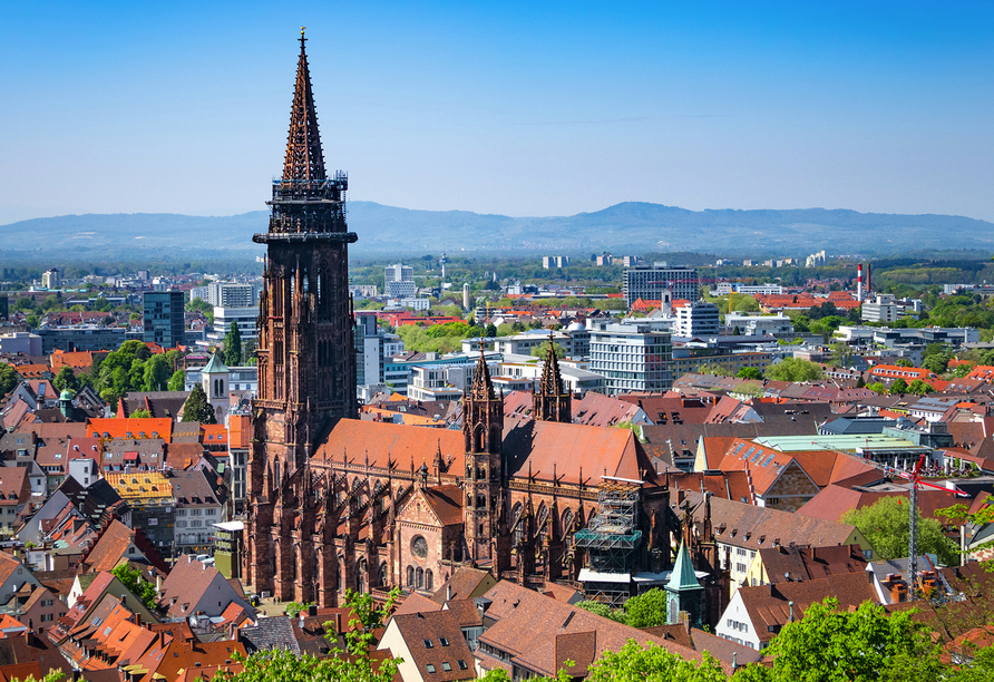 Freiburg im Breisgau ist mit seinem ganz besonderen Charme zu jeder Zeit einen Besuch wert.