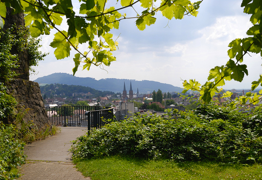 Erkunden Sie Freiburg, die Perle des Breisgaus!