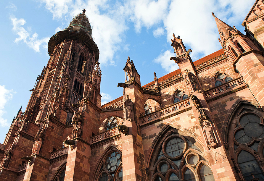 Das romantische Freiburger Münster wurde größtenteils im Stil der Gotik und Spätgotik erbaut.