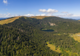 Wandern Sie durch den schönen Schwarzwald bis zum Feldberg.