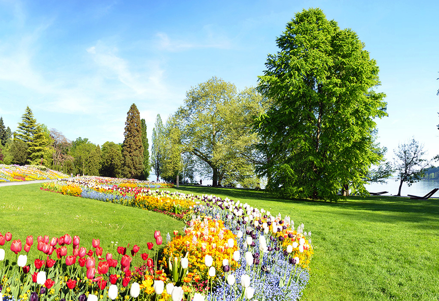 Mit ihrer einzigartigen Blütenpracht begeistert die Insel Mainau ihre Gäste.