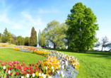 Mit ihrer einzigartigen Blütenpracht begeistert die Insel Mainau ihre Gäste.