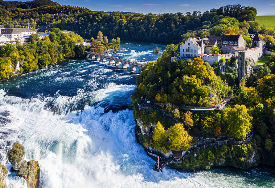 Lassen Sie sich vom Naturerlebnis Rheinfall bei Schaffhausen begeistern!