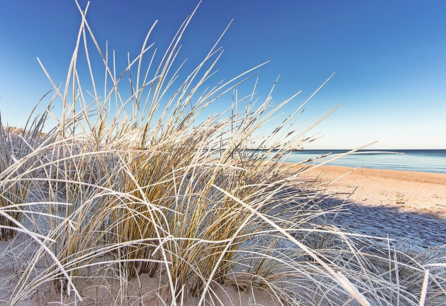 Auch oder gerade im Winter ist die Ostsee einen Urlaub wert.