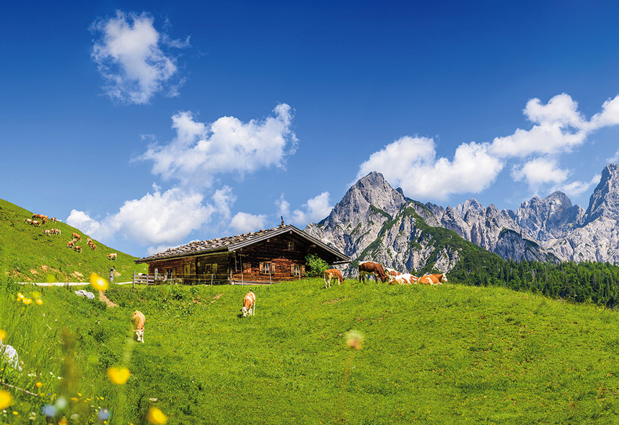 Typisches Panoramabild in den Tiroler Alpen.