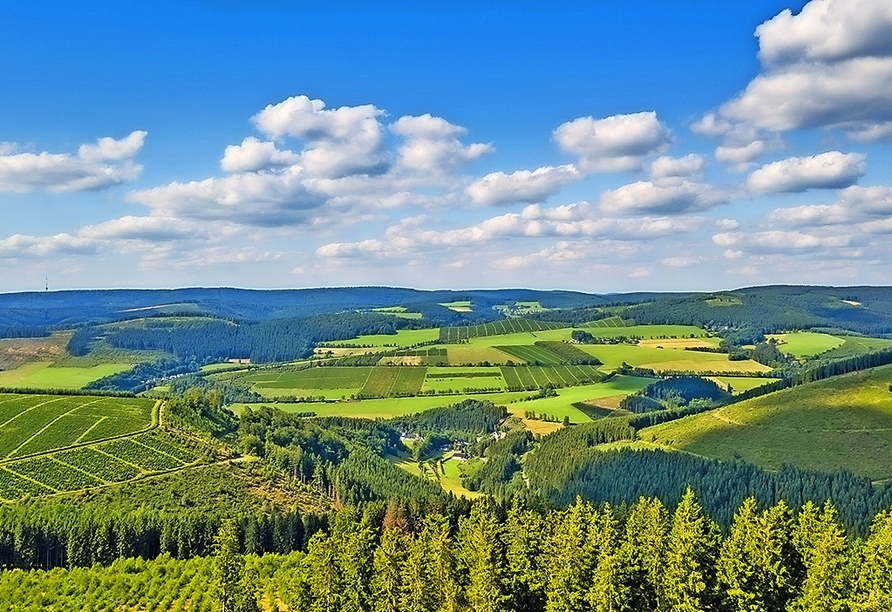 Genießen Sie die traumhafte Natur im Sauerland.