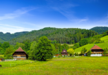 Entdecken Sie die traumhaften Naturlandschaften des Schwarzwalds auf wunderschönen Wanderwegen.