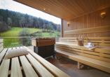 Die Panorama-Sauna offenbart einen traumhaften Blick auf den Schwarzwald.