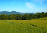 Genießen Sie die wunderschöne Natur des Bayerischen Walds.