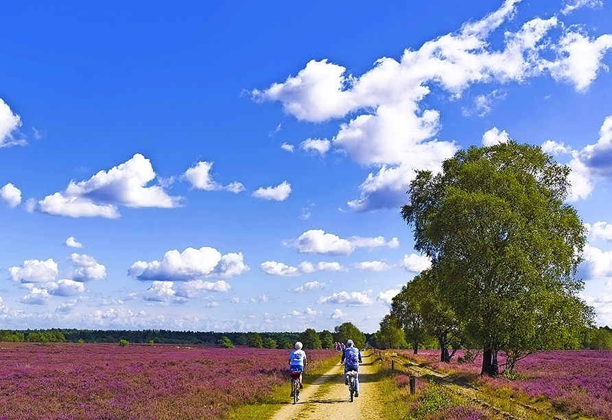 Erkunden Sie die Lüneburger Heide auf dem Rad.