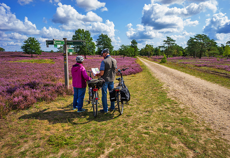 Erkunden Sie auf dem Heidschnuckenweg die wunderschöne Lüneburger Heide.