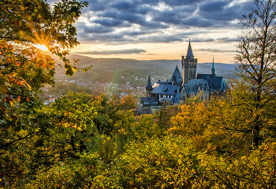 Unternehmen Sie einen Ausflug zum Schloss Wernigerode, es lohnt sich.