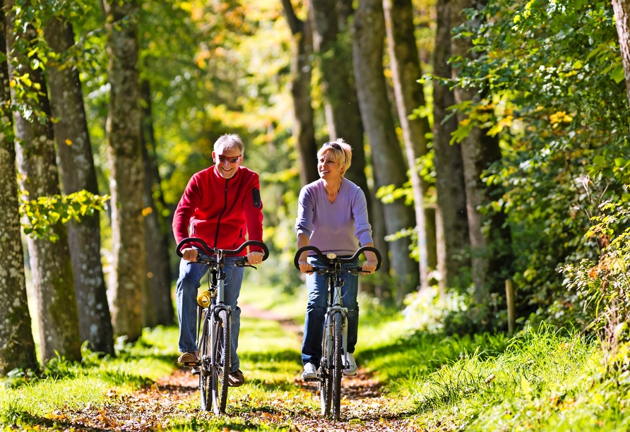 Unternehmen Sie eine Radtour durch den Wald!