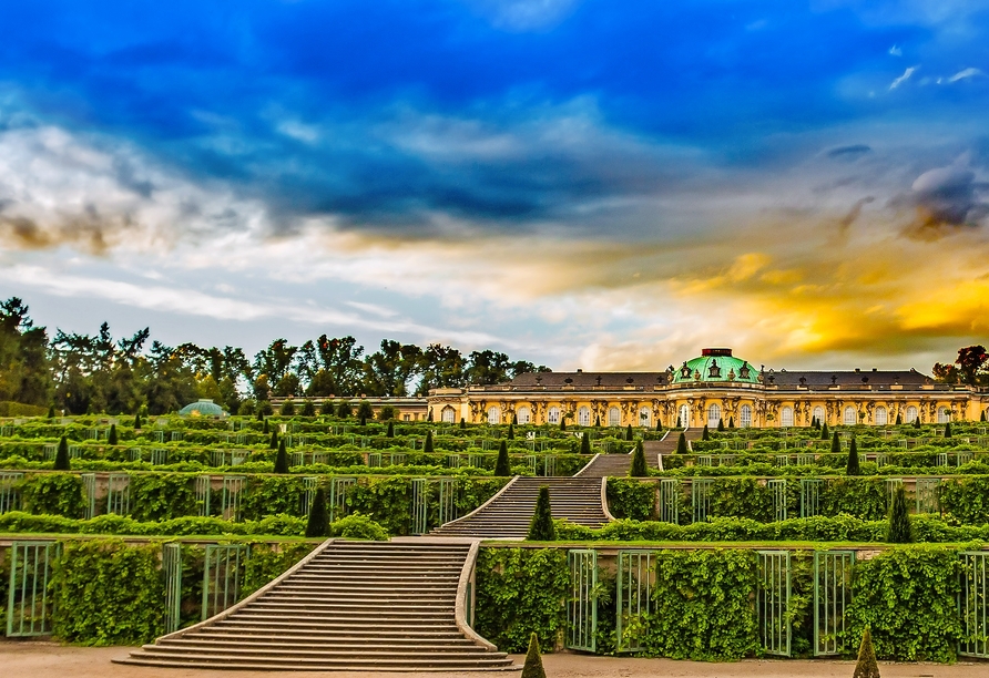 Das Schloss Sanssouci ist ein wahres Highlight in Potsdam – erleben Sie es selbst!