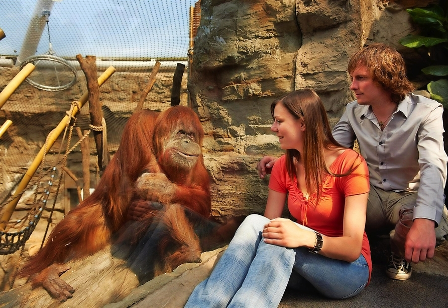 Erleben Sie eine große Vielfalt an Tieren in der ZOOM Erlebniswelt.