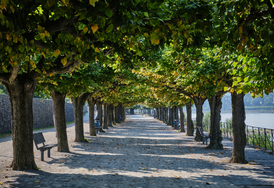 Schlendern Sie in Bonn entlang der Promenade und genießen Sie die Aussicht auf den Rhein.