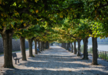 Schlendern Sie in Bonn entlang der Promenade und genießen Sie die Aussicht auf den Rhein.