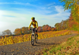 Machen Sie eine Fahrradtour durch die faszinierende Landschaft des Bonner Umlands.