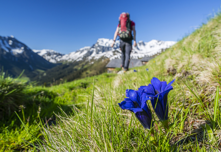 Das wunderschöne Salzburger Land lädt zu ausgiebigen Wanderungen ein.