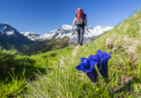 Das wunderschöne Salzburger Land lädt zu ausgiebigen Wanderungen ein.