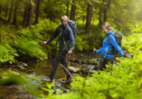 Unzählige Wanderwege durch Täler und über Höhen warten in der Pfalz auf Sie!