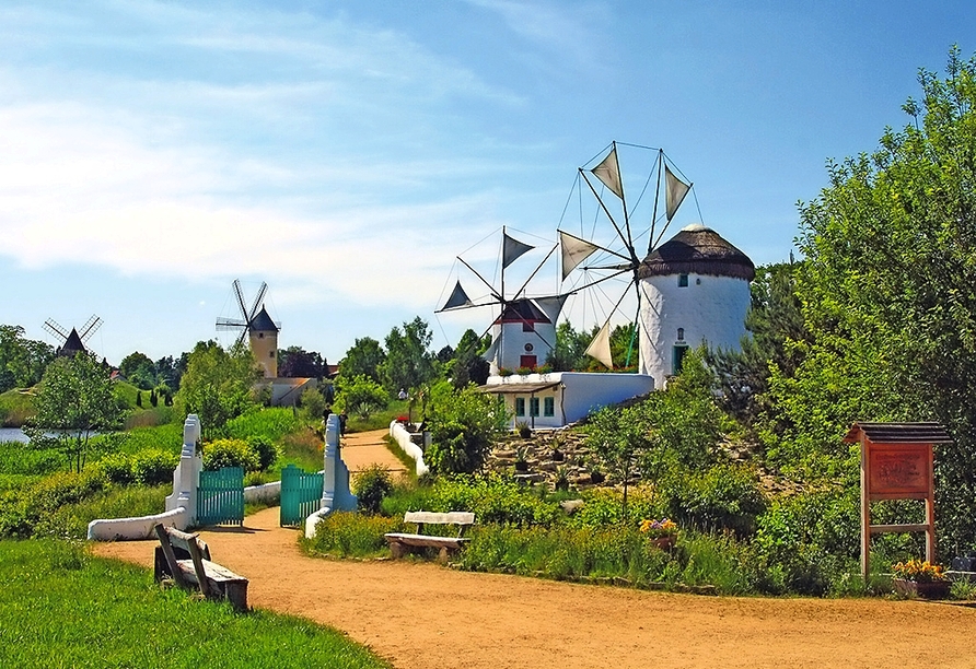 Das Mühlenmuseum ist eines der Highlights in Gifhorn.