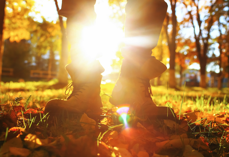 Spaziergänge sind besonders schön, wenn sie durchs Herbstlaub führen.