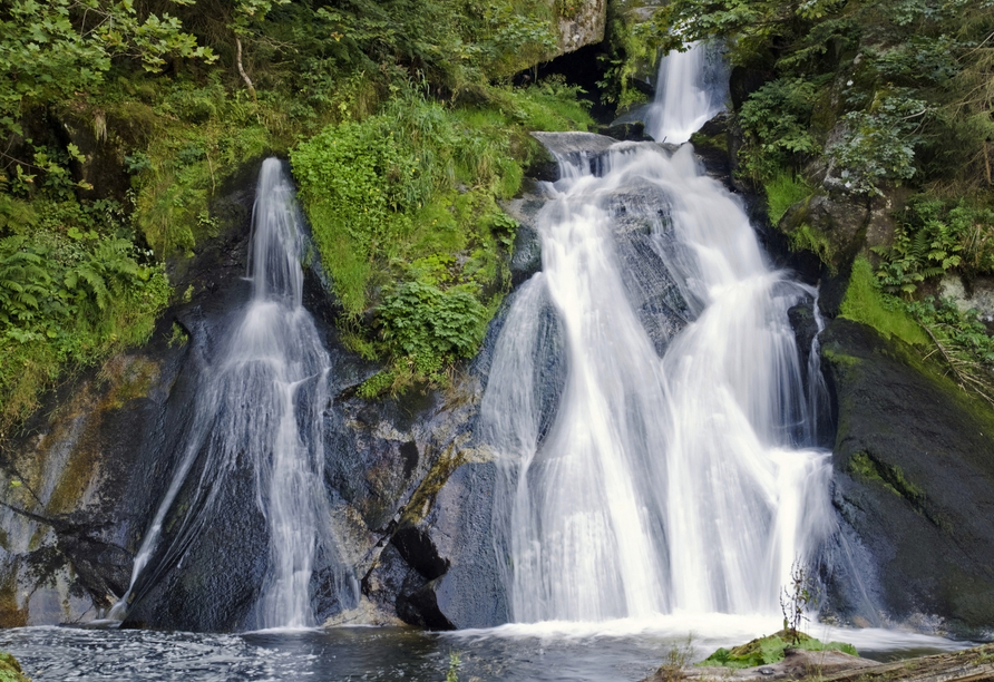 Die nicht weit entfernten Triberger Wasserfälle gehören zu den höchsten Wasserfällen Deutschlands.