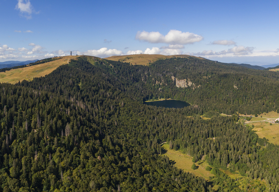 Der mächtige Feldberg im Schwarzwald