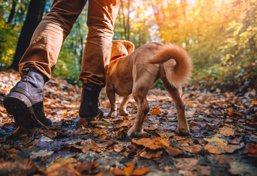 Auch für einen schönen Urlaub mit Ihrem Hund sind Sie im Gersfelder Hof an der richtigen Adresse.