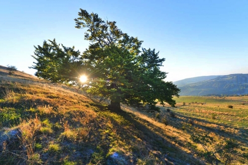 Das Hotel-Restaurant Gersfelder Hof heißt Sie in der hessischen Rhön ganz herzlich willkommen! 