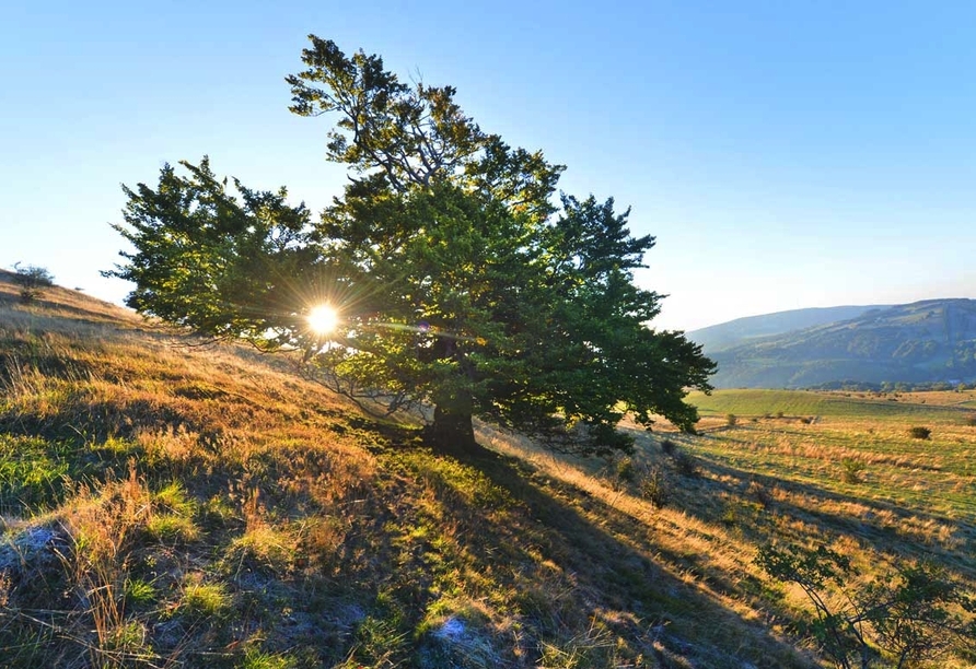 Das Hotel-Restaurant Gersfelder Hof heißt Sie in der hessischen Rhön ganz herzlich willkommen! 