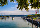 Der nahegelegene Bodensee besticht vor allem mit seinen herrlichen Häfen und Wanderwegen.