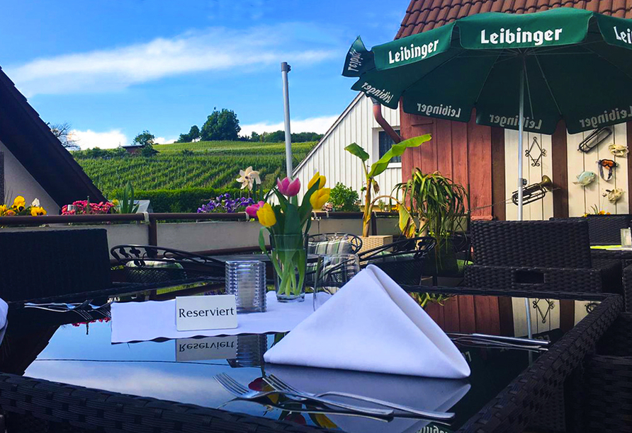 Von der Dachterrasse aus haben Sie einen schönen Ausblick auf die sattgrünen Weinberge.