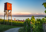 Freuen Sie sich auf einen traumhaften Alpenblick in Hagnau am Bodensee.