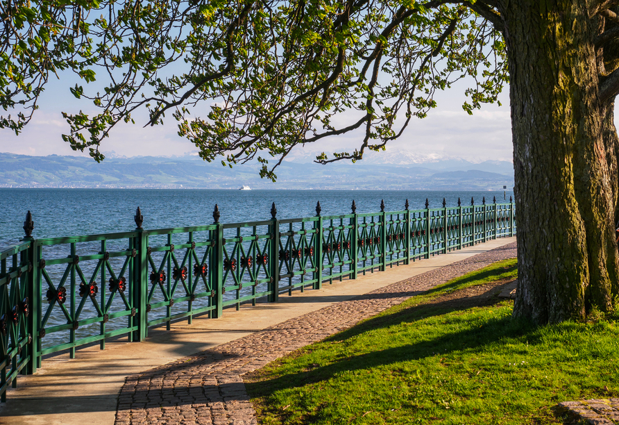 Entdecken Sie die Schönheit des Bodensees bei Friedrichshafen.