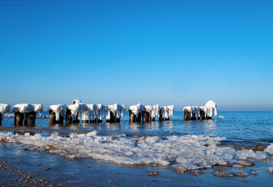 Im Winter sind die Buhnen an der Ostsee meist vereist.