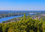 Blick aufs Rheintal vom Drachenfels bei Königswinter aus