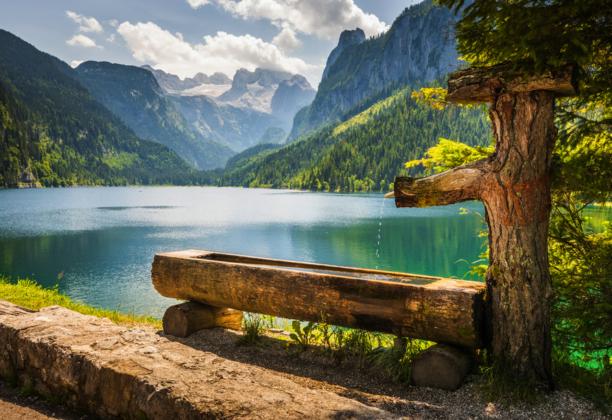 Ferienhotel Knollhof in Ramsau, Landschaft Dachstein