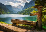 Ferienhotel Knollhof in Ramsau, Landschaft Dachstein