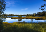 Der Wildsee ist ein idyllischer Ort der Ruhe.