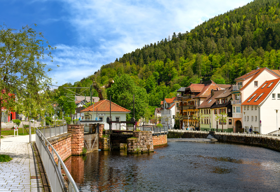 Blick auf Bad Wildbad und den Fluss Enz