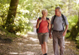 Die traumhafte Natur des Schwarzwalds eignet sich perfekt zum Wandern.