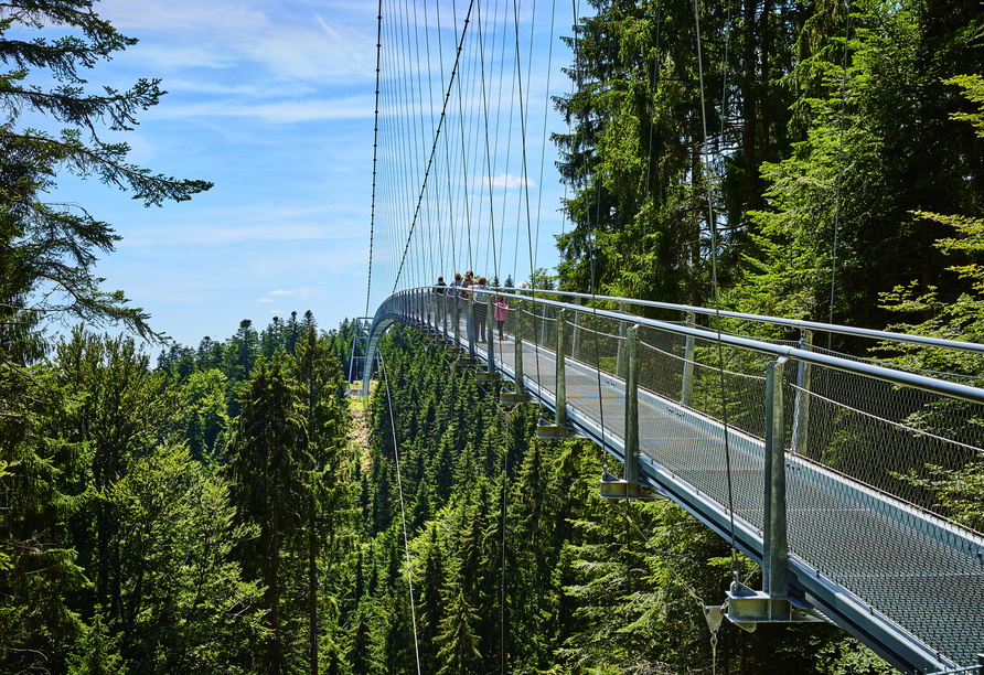 Auch die WILDLINE Hängebrücke bietet spektakuläre Ausblicke.