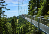 Auch die WILDLINE Hängebrücke bietet spektakuläre Ausblicke.