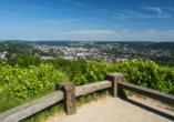 Unternehmen Sie einen Ausflug nach Pforzheim.