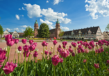 Ein Ausflug nach Freudenstadt bietet sich an.