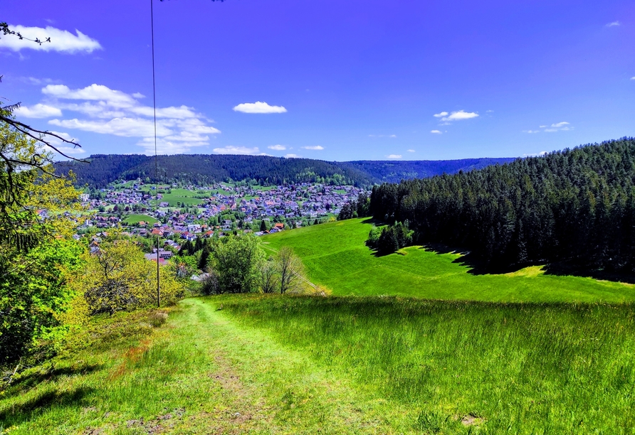 Blick auf Baiersbronn