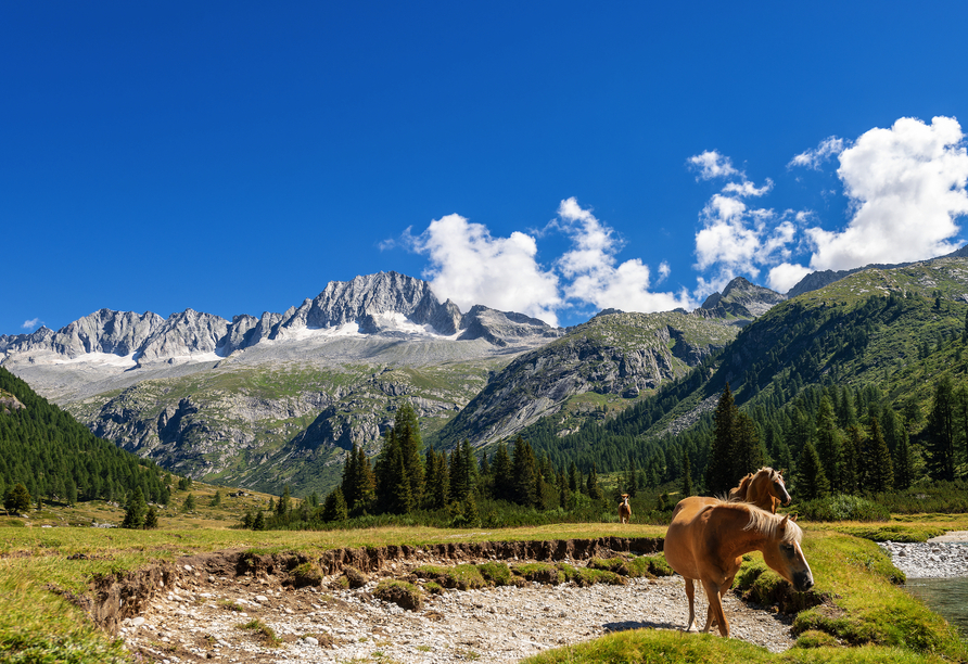 Entdecken Sie die traumhafte Region bei einer Wanderung.